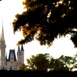 Disney's Cinderella Castle, framed by tree branches. Photo by Daniel St.Pierre, November 2010