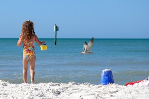 clearwater-beach-112811-trinity-stpierre-watching-seagull