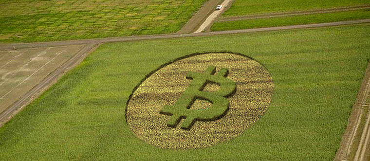 Bitcoin Crop
